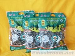 供应野生蘑菇