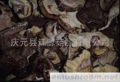 供应一批破边菇(图)