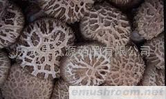 供应花菇(图)