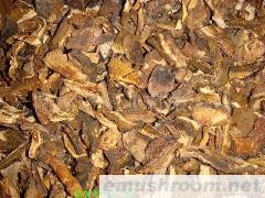 批发美味牛肝菌C级干片 美味出口 牛肝菌出口级别