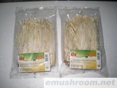 供应金针菇(冷房菇)