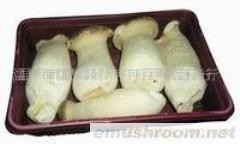 批发供应杏鲍菇5斤起批