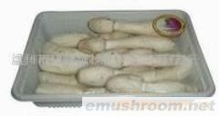 供应鸡腿菇，Manbetx体育手机版推荐A9版本