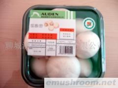 供应优质蘑菇（A级双孢菇Manbetx体育手机版V17版本发布.官网安卓网.香港）