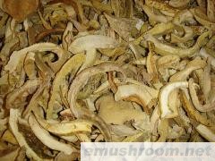 批发云南黄虎掌菌干片，牛肝菌干片，野生菌干片
