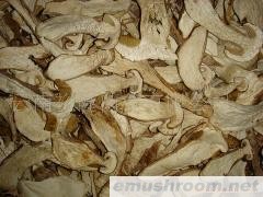 批发美味牛肝菌；野生菌；牛肝菌；ManBetX体育干片、速冻等