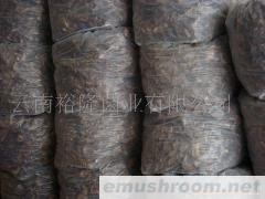 批发黑虎掌干片；黑虎掌速冻；黑虎掌干品、销售、加工