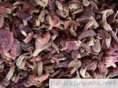 批发小红菇干品；菇体菌；云南红菇；胭脂菌