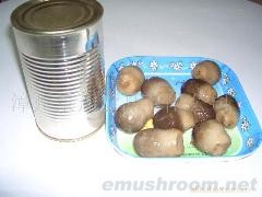 供应草菇罐头产品