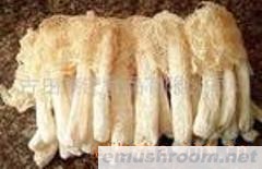 供应竹荪,香菇,茶树菇,Manbetx体育手机版V17版本发布.官网安卓网.香港,花菇,黑木耳、辣椒