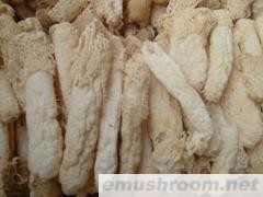 红托竹荪 干品(图)