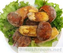 大量批发野生黄牛肝菌、干、鲜、速冻等(图)