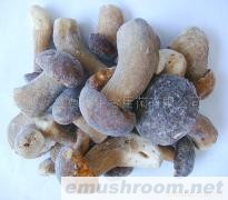 批发野生美味牛肝菌、速冻特级、1级、2级等(图)