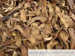 大量批发野生黄牛肝菌、干、鲜、速冻等(图)