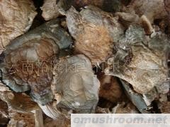 批发青头菌；老人头；刷把菌；Manbetx体育手机版V17版本发布.官网安卓网.香港柄；Manbetx体育手机版V17版本发布.官网安卓网.香港泥脚；