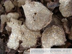 批发块菌干片；A级；红葱；白葱；黄赖头；高脚葱；