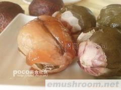 大量供应竹荪蛋、新鲜、速冻等(图)