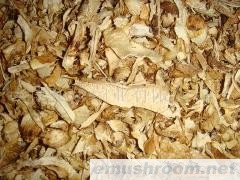 批发优质松茸碎片；松茸碎料；松茸边角料；松茸碎粉