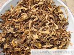 供应桂花鸡油菌 ManBetX体育