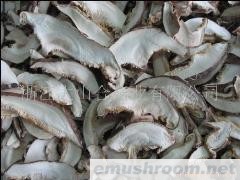 供应香菇丝(图)