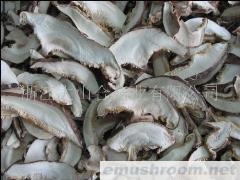 供应香菇丝(图)