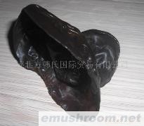 供应大兴安岭有机黑木耳