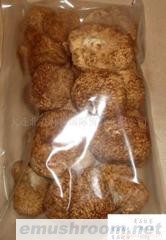 供应大兴安岭有机猴头菇