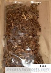 供应大兴安岭野生毛尖蘑