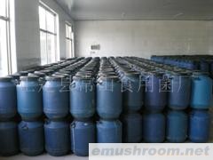 供应盐渍蟹味菇