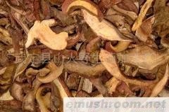 供应黄牛肝菌