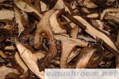 供应云南省黑牛肝菌/铜色牛肝菌