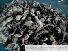 供应:黑木耳,白木耳(图)