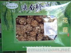 供应天然花香菇