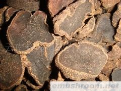 批发黑块菌干片；出口级别块菌干片；猪拱菌、无粮藤果