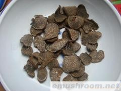 供应块菌 成熟块菌 野生菌批发