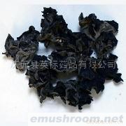 供应木耳(图)