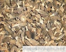 供应Manbetx体育手机版推荐A9版本