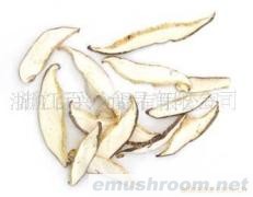 供应优质出口菇片