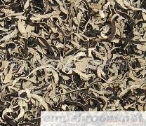 供应白背木耳丝