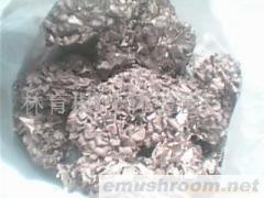 供应灰树花(图)