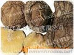 供应优质薄菇