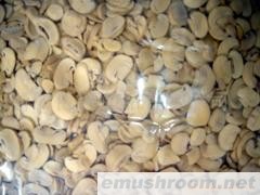 供应优质新产季蘑菇片(图)