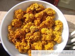 供应金耳 ManBetX体育 无杂质