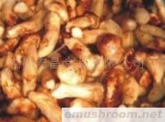 各种规格盐渍松茸、盐渍牛肝菌、盐渍姬菇和盐渍芥末等