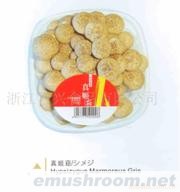 供应蟹味菇(图)