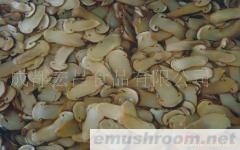 各种规格盐渍松茸、盐渍牛肝菌、盐渍姬菇和盐渍芥末等