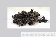 供应椴木黑木耳