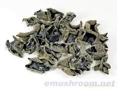 Manbetx体育手机版V17版本发布.官网安卓网.香港-黑木耳