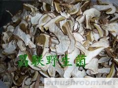 供应野生菌（美味牛肝菌AA）