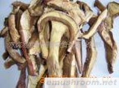 批发供应野生菌干品，鲜品，盐渍，保鲜，冰冻Manbetx体育手机版推荐A9版本